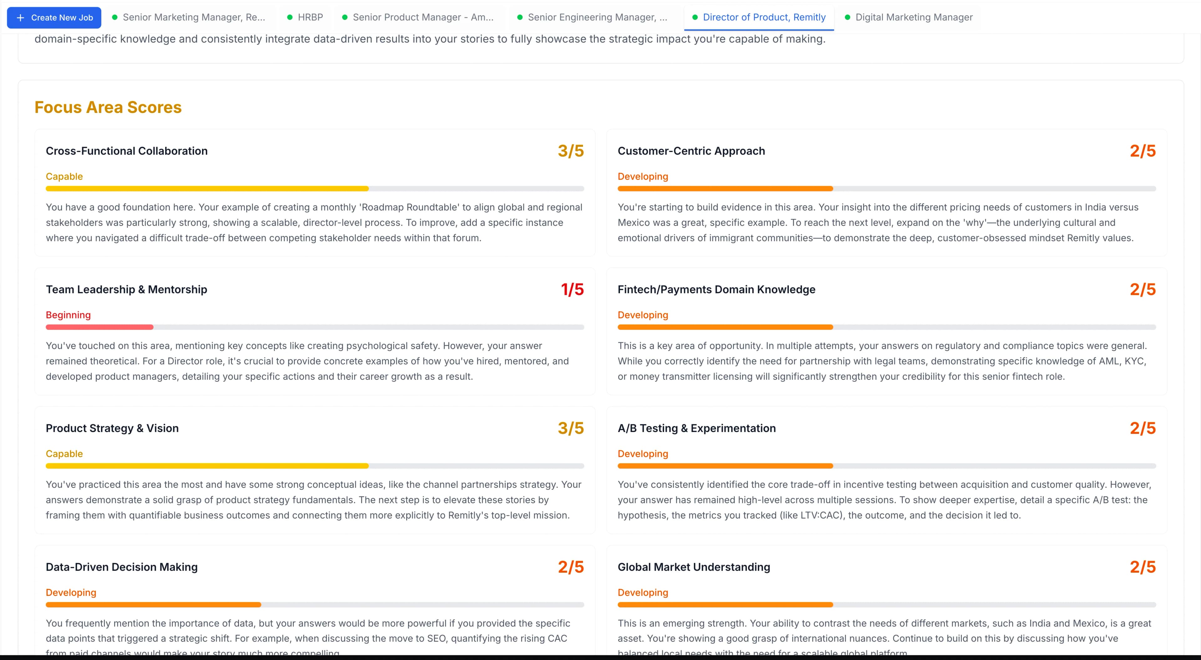 Detailed focus area scores showing competency levels across different skills